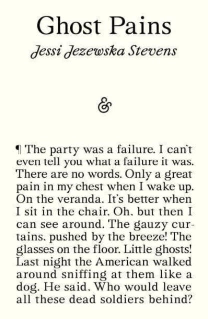 Book cover of: Ghost Pains. By: Jessi Jezewska Stevens