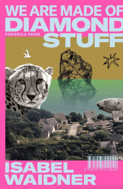 Book cover of: We are Made of Diamond Stuff. By: Isabel Waidner
