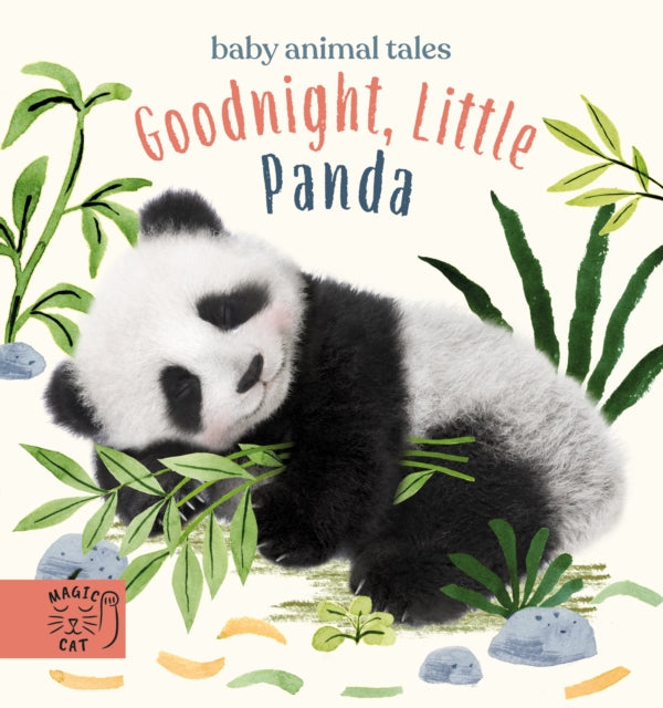 Book cover of: Goodnight, Little Panda. By: Amanda Wood