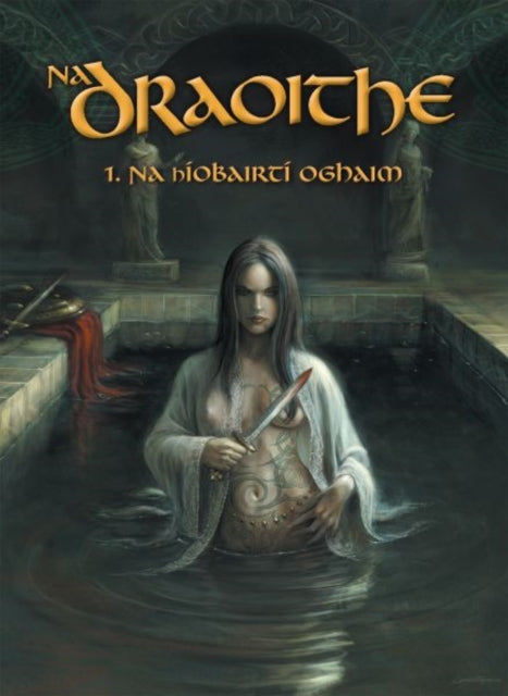 Book cover of: Na Draoithe