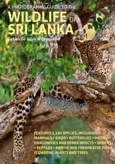 Book cover of: Photographic Guide to the Wildlife of Sri Lanka