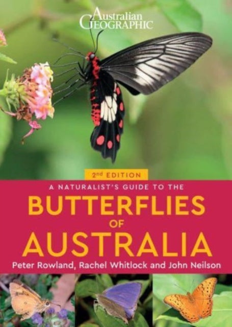 Book cover of: Naturalist's Guide to the Butterflies of Australia (2nd). By: Rachel Whitlock