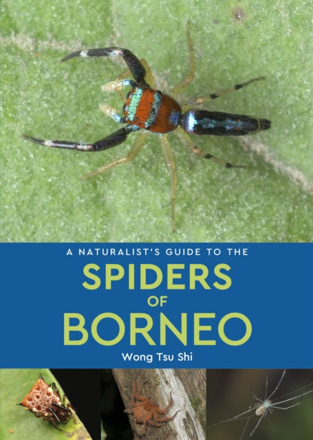 Book cover of: Naturalist's Guide to the Spiders of Borneo
