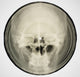 Book cover of: Bone Music. By: Stephen Coates