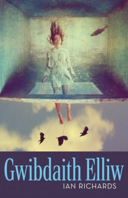 Book cover of: Gwibdaith Elliw