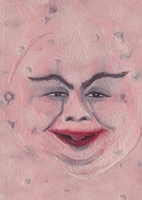 Book cover of: PINK MOON (SPECIAL EDITION) Marcel Dzama, Sufjan Stevens, Hannah Peel. By: Marcel Dzama