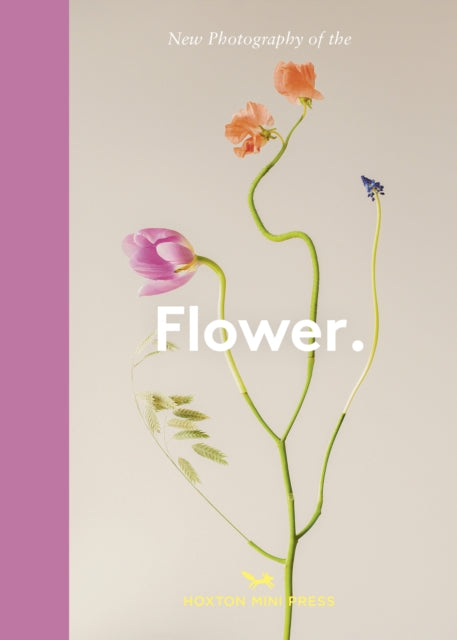 Flower., New Photography of the 9781914314957 HOXTON MINI PRESS