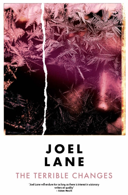 Terrible Changes 9781914391118 Joel Lane