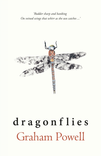 Book cover of: Dragonflies