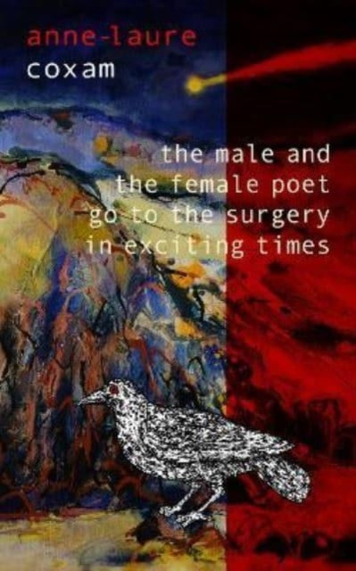 Book cover of: Male and the Female Poet Go to the Surgery in Exciting Times