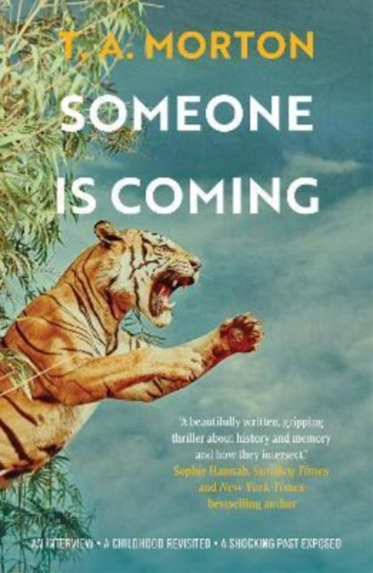 Book cover of: Someone is Coming