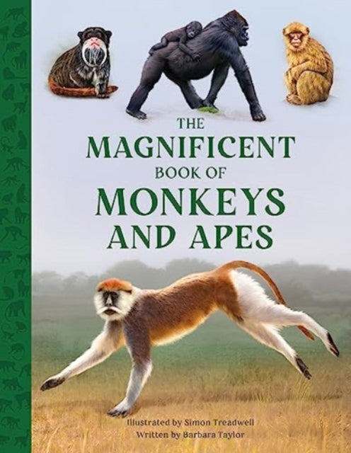 Book cover of: Magnificent Book of Monkeys and Apes. By: Barbara Taylor