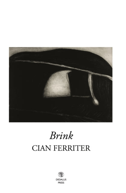 Book cover of: Brink