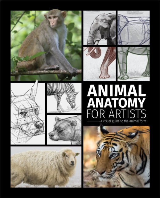 Book cover of: Animal Anatomy for Artists. By: 3dtotal Publishing