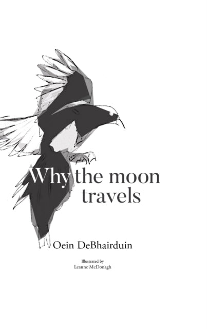 Why the moon travels 9781916493506 Oein DeBhairduin