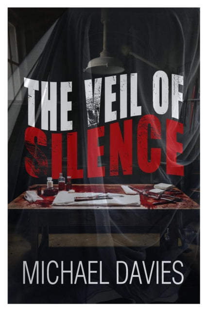 Book cover of: Veil of Silence