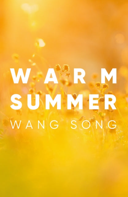 Book cover of: Warm Summer. By: Wang Song