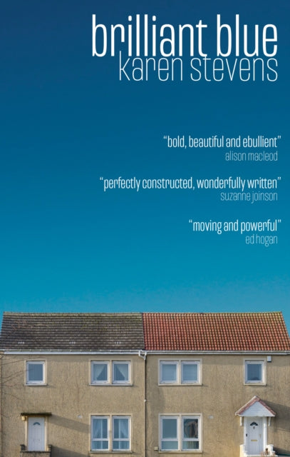 Book cover of: Brilliant Blue
