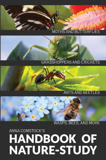 Book cover of: Handbook Of Nature Study in Color - Insects