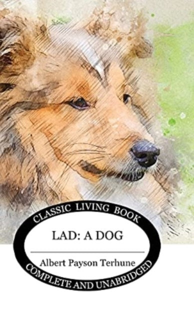 Book cover of: Lad
