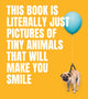 This Book Is Literally Just Pictures of Tiny Animals That Will Make You Smile 9781922754578 Smith Street Books