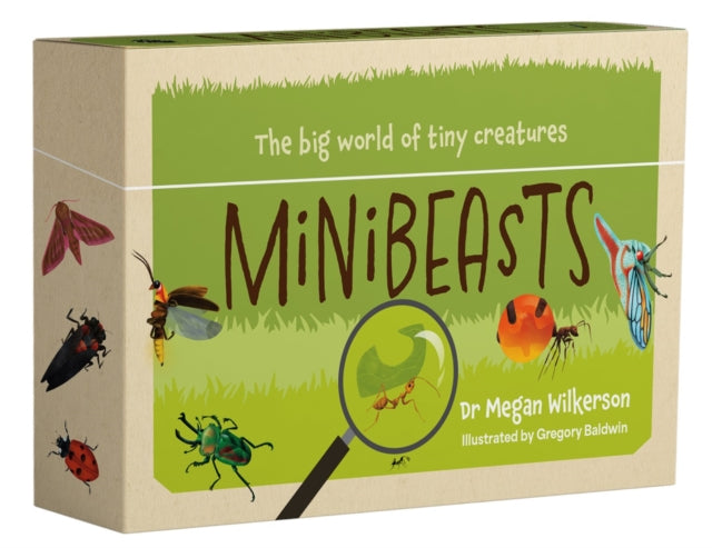 Book cover of: Minibeasts