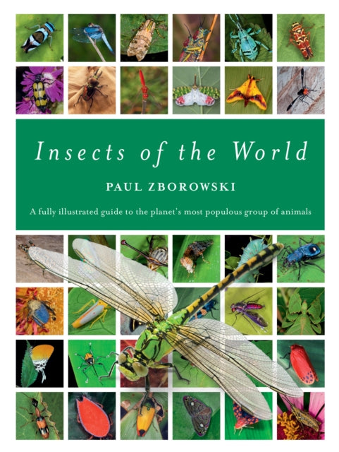 Book cover of: Insects of the World. By: Paul Zborowski