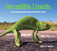 Book cover of: Incredible Lizards. By: Steve Wilson