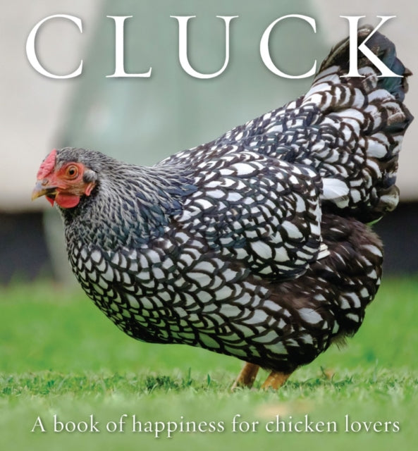 Book cover of: Cluck. By: Freya Haanen