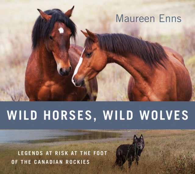 Book cover of: Wild Horses, Wild Wolves. By: Maureen Enns