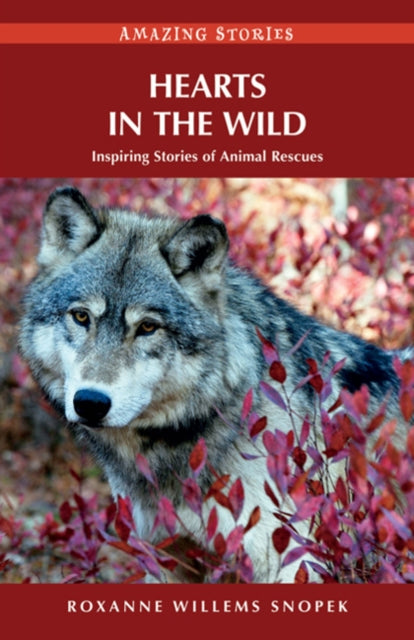 Book cover of: Hearts in the Wild. By: Roxanne Willems Snopek