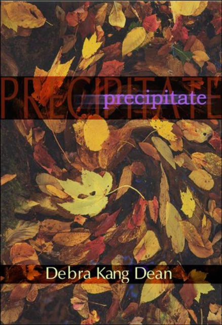 Book cover of: Precipitates