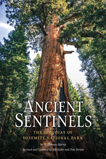 Book cover of: Ancient Sentinels: The Sequoias of Yosemite National Park. By: Thomas Harvey