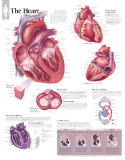 Book cover of: Heart Paper Poster. By: Scientific Publishing