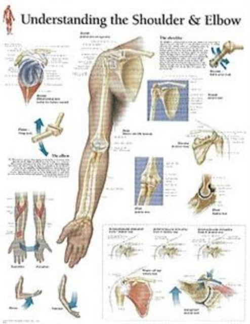 Book cover of: Understanding the Shoulder & Elbow Laminated Poster