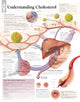 Book cover of: Understanding Cholesterol Paper Poster. By: Scientific Publishing