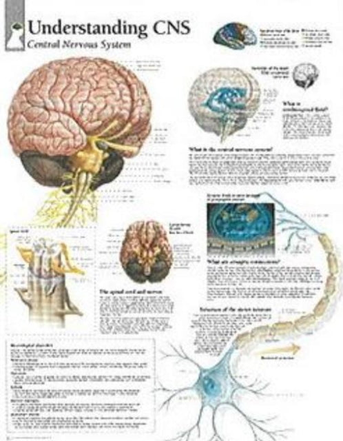 Book cover of: Understanding CNS Paper Poster