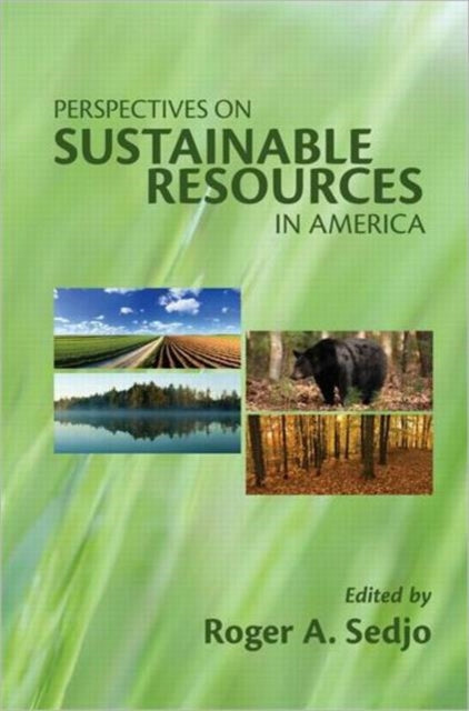 Book cover of: Perspectives on Sustainable Resources in America