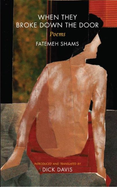 Book cover of: When They Broke Down the Door. By: Fatemeh Shams