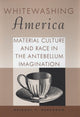 Book cover of: Whitewashing America. By: Bridget T. Heneghan