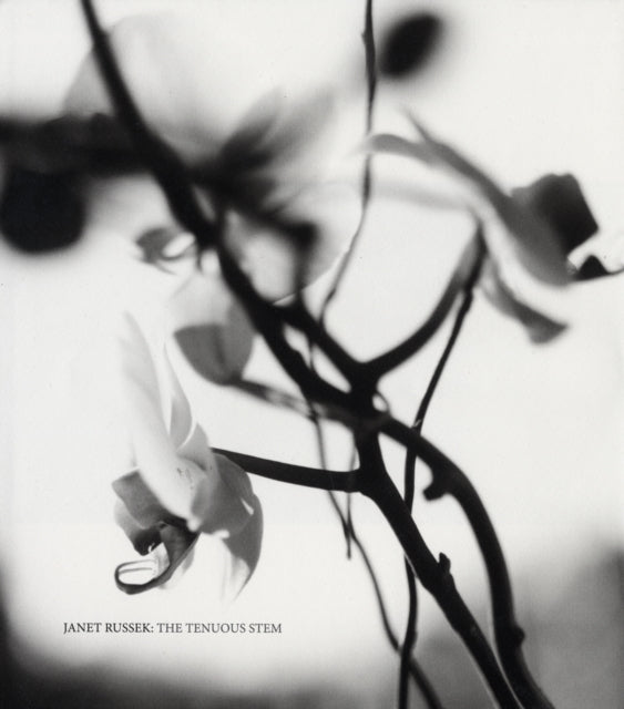 Book cover of: Janet Russek: The Tenuous Stem