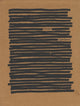 Book cover of: Covert Operations: Investigating the Known Unknowns. By: Sandra Phillips