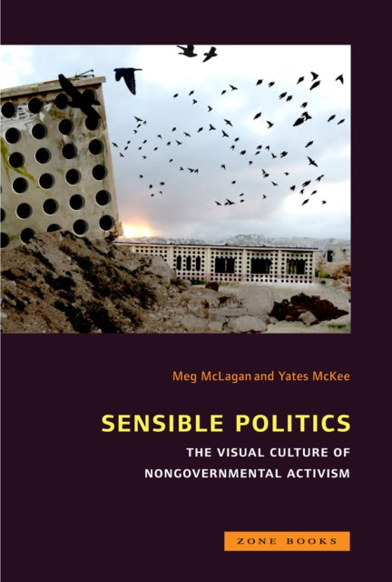 Book cover of: Sensible Politics. By: Meg McLagan