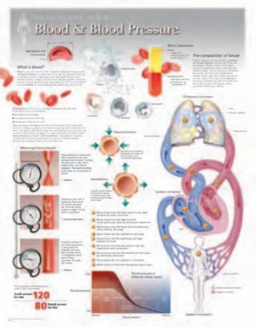 Book cover of: Blood & Blood Pressure Laminated Poster
