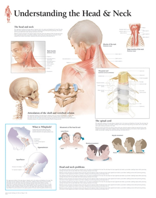 Book cover of: Understanding the Head & Neck