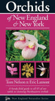 Book cover of: Orchids of New England & New York