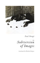 Book cover of: Subversion of Images. By: Xavier Canonne