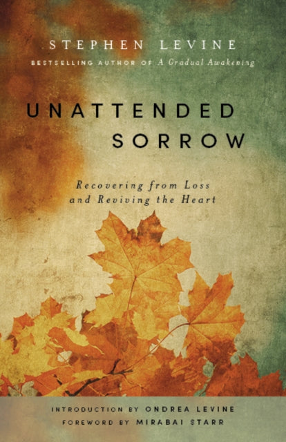 Book cover of: Unattended Sorrow. By: Ondrea Levine