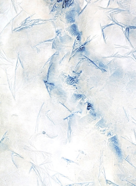 Book cover of: Meghann Riepenhoff: Ice. By: Meghann Riepenhoff