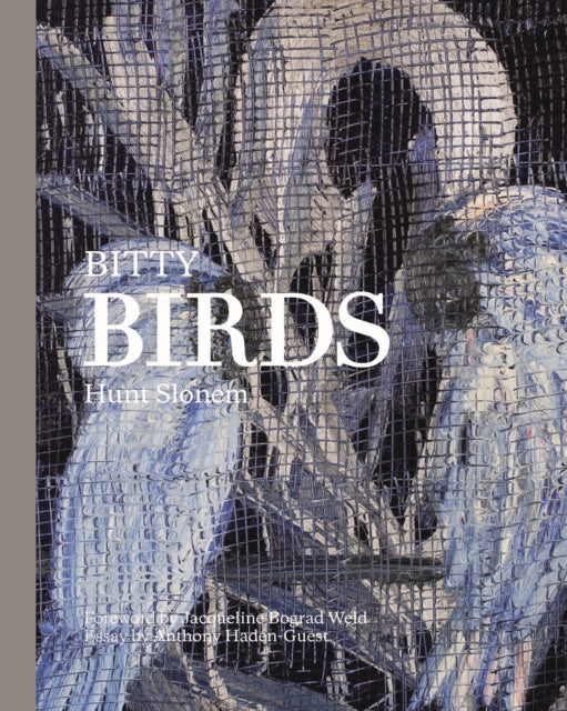 Book cover of: Bitty Birds. By: Hunt Slonem